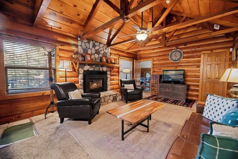 Fireplace, DVD player