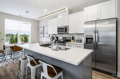 Family Apartment, Pets Allowed, Lake View | Private kitchen | Fridge, microwave, oven, stovetop