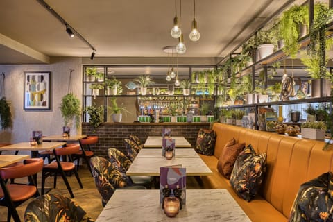 International cuisine