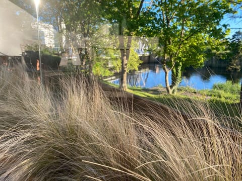 Apartment | View from property