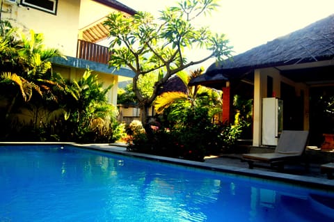 Outdoor pool, sun loungers