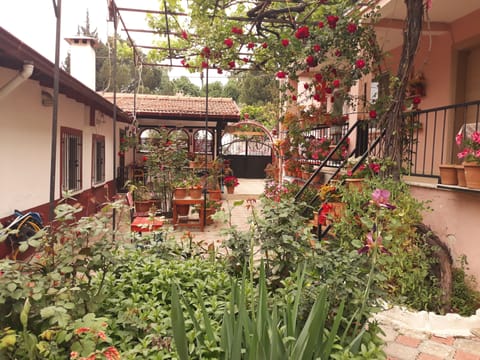 Comfort Quadruple Room, Multiple Beds, Patio, Garden View | Terrace/patio
