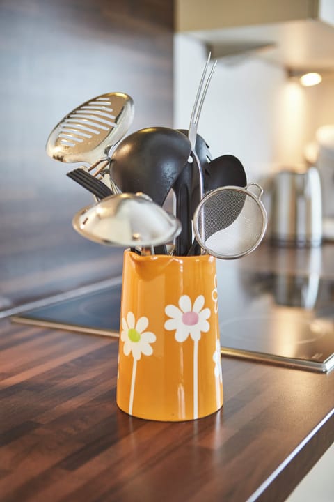 Comfort Apartment, 2 Bedrooms, Mountain View | Private kitchen | Coffee/tea maker, electric kettle, toaster, freezer