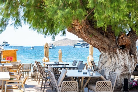 Private beach, beach bar