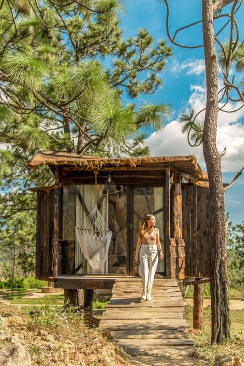 Family Tree House, Mountain View | Down comforters, bed sheets