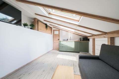 Comfort Studio Suite | Iron/ironing board, free WiFi