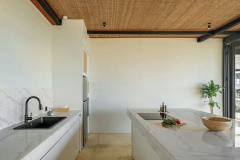 Family Villa, Ocean View | Private kitchen | Fridge, stovetop, coffee/tea maker, cookware/dishes/utensils