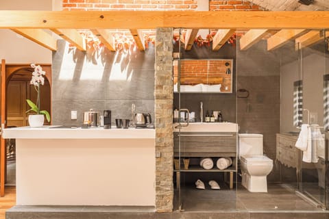 Skylight King Suite | Bathroom | Shower, designer toiletries, hair dryer, bathrobes