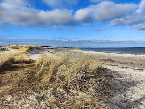 House | Beach