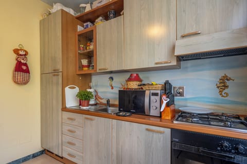 Apartment, Balcony, City View | Private kitchen | Fridge, microwave, oven, stovetop