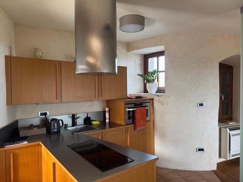 Superior Apartment | Private kitchen | Mini-fridge, electric kettle