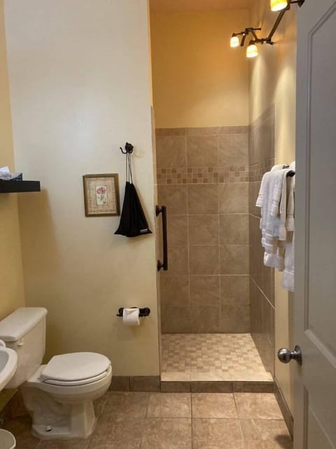 Shower, designer toiletries, hair dryer, towels