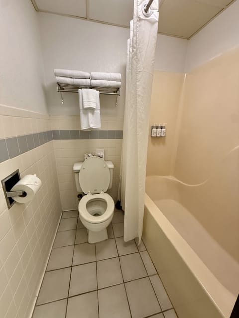Combined shower/tub, free toiletries, hair dryer, towels