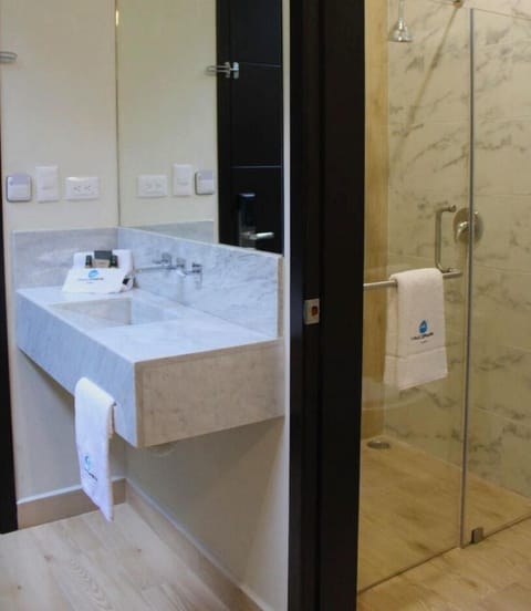 Deluxe Double Room | Bathroom | Shower, soap, shampoo, toilet paper