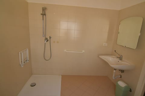 Basic Room | Bathroom | Shower, hair dryer, bidet, towels