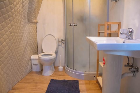 Shower, free toiletries, hair dryer, towels