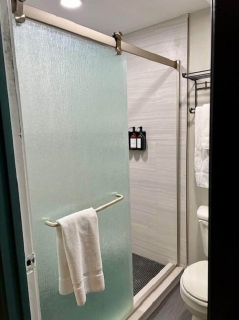 Combined shower/tub, hair dryer, towels, soap