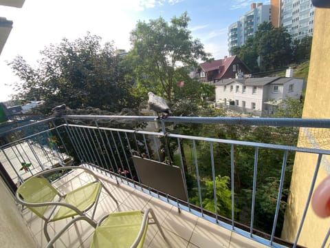 Apartment | View from property