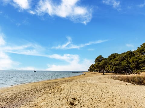 Mobile Home | View from property