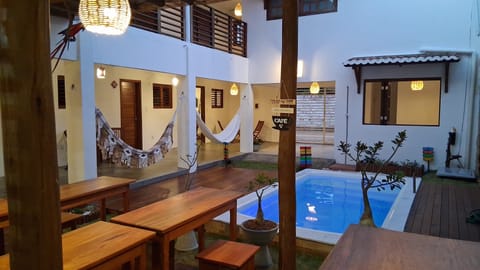Outdoor pool, open 9:00 AM to 8:00 PM, sun loungers