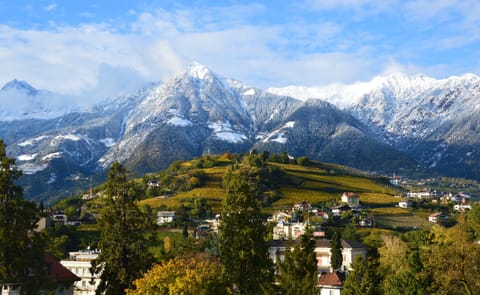 Double Room | Mountain view