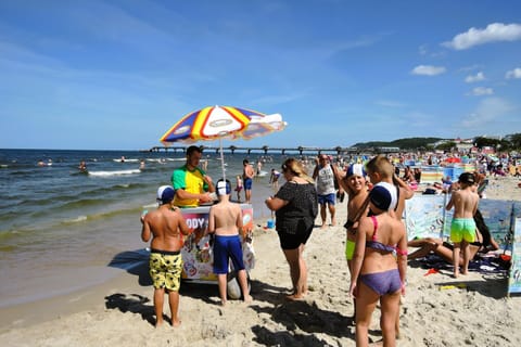 Apartment | View from property