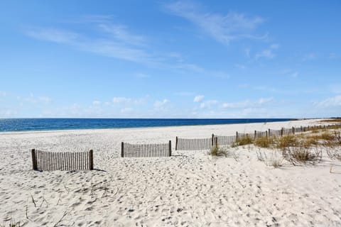 Condo, Multiple Beds (Tranquil Harbor 311 - Sea Forever) | Beach