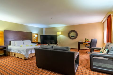 Junior Studio Suite | Premium bedding, down comforters, in-room safe, desk