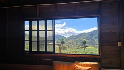 Cabin, 2 Bedrooms, Mountain View | Interior