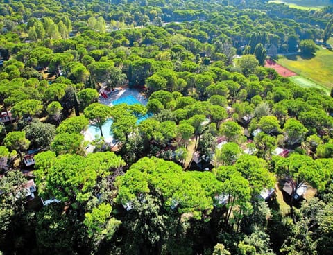 Mobile Home | View from property