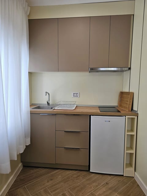 Family Apartment, Balcony | Private kitchen | Fridge