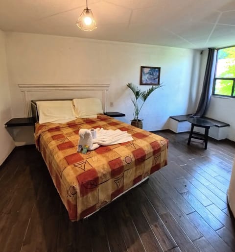 Economy Room | Free WiFi