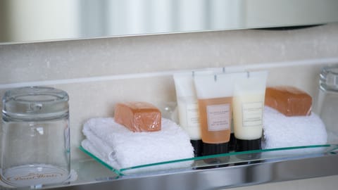 Combined shower/tub, free toiletries, hair dryer, bathrobes