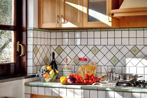 Panoramic House | Private kitchen | Fridge, microwave, oven, stovetop