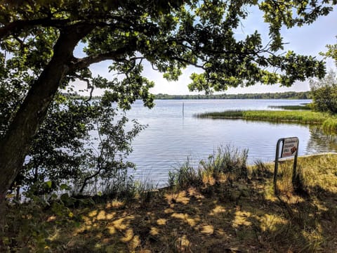 House | Water view