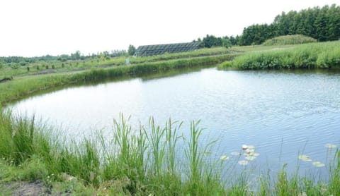 House | Property grounds