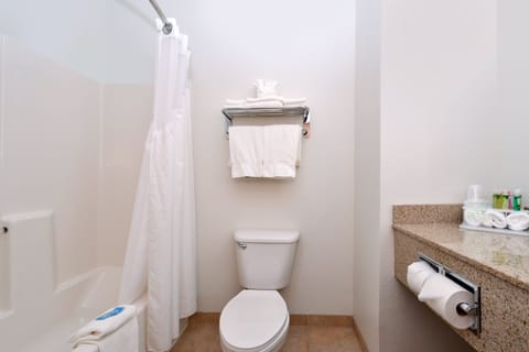 Combined shower/tub, free toiletries, hair dryer, towels