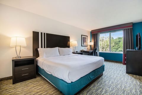 Standard Room, 1 King Bed | In-room safe, desk, blackout drapes, iron/ironing board