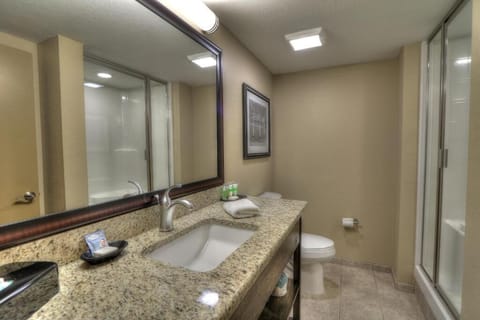 Executive Double Room | Bathroom