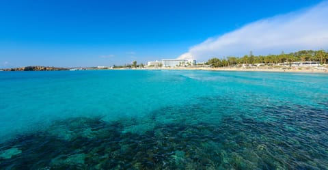 Apartment | 3 bedrooms