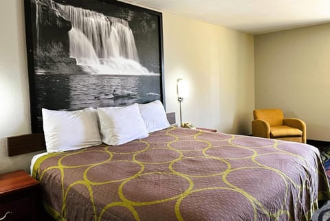 Room, 1 King Bed, Non Smoking | Desk, free cribs/infant beds, rollaway beds, free WiFi