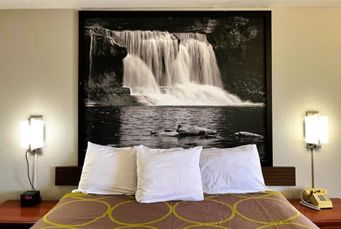 Room, 1 King Bed, Non Smoking | Desk, free cribs/infant beds, rollaway beds, free WiFi