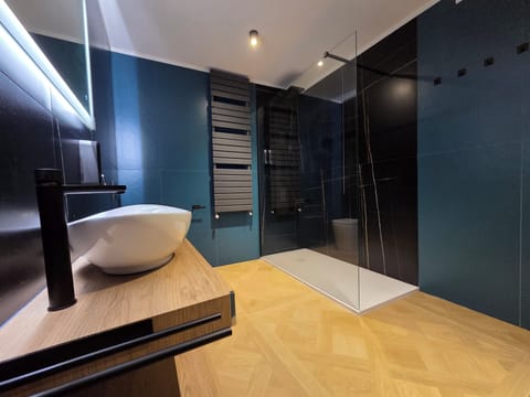 Shower, hair dryer, bathrobes, towels