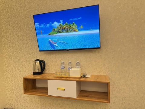 Comfort Double or Twin Room | Television