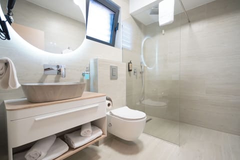 Deluxe Suite | Bathroom | Shower, free toiletries, hair dryer, slippers