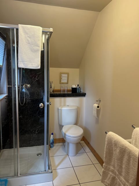 Combined shower/tub, hair dryer, towels, toilet paper