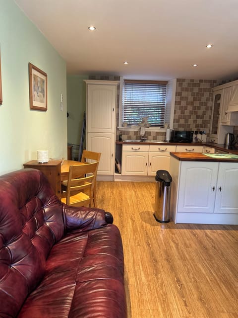 Apartment, 1 Double Bed, Non Smoking, Kitchen | Living area | 42-inch TV with digital channels