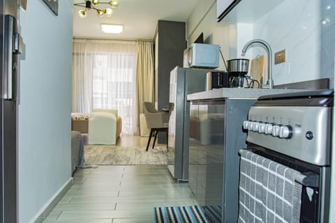 Mini-fridge, microwave, oven, stovetop