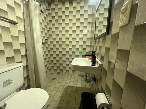 Classic Double Room | Bathroom | Shower, towels, soap, shampoo