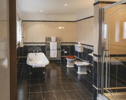 Separate tub and shower, free toiletries, hair dryer, bathrobes